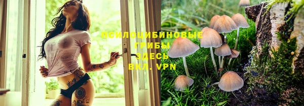 крисы Белоозёрский