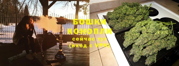 крисы Белоозёрский