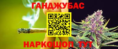 амф Гай
