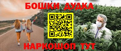 амф Гай