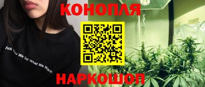 амф Гай