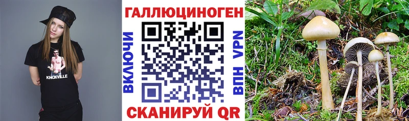 нарко площадка телеграм Гулькевичи Галлюциногенные грибы MAGIC MUSHROOMS купить наркотики сайты