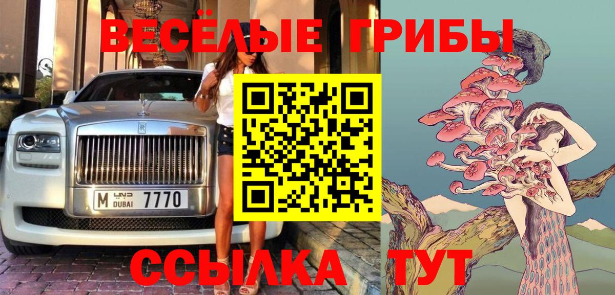 Псилоцибиновые грибы Psilocybe  купить наркотик  Гулькевичи 