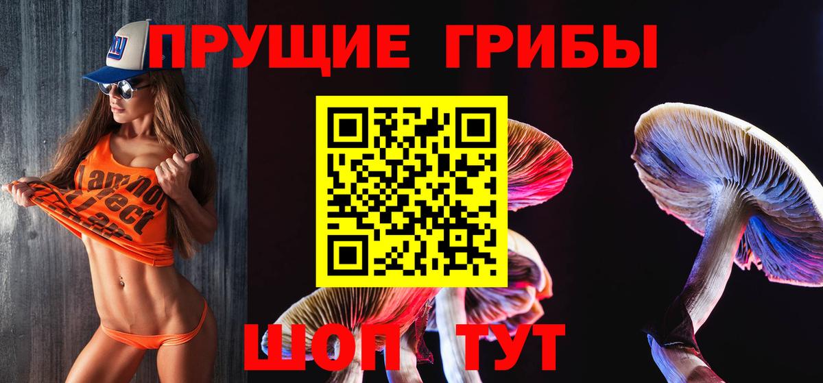 Псилоцибиновые грибы прущие грибы  Вход с VPN  наркота  Гулькевичи 