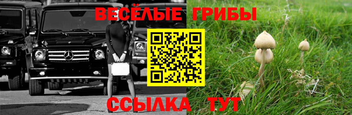 Псилоцибиновые грибы Magic Shrooms Гулькевичи